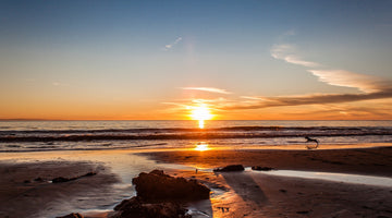 From Orchard to Coast: Exploring the Rich Fragrance Heritage of Santa Barbara